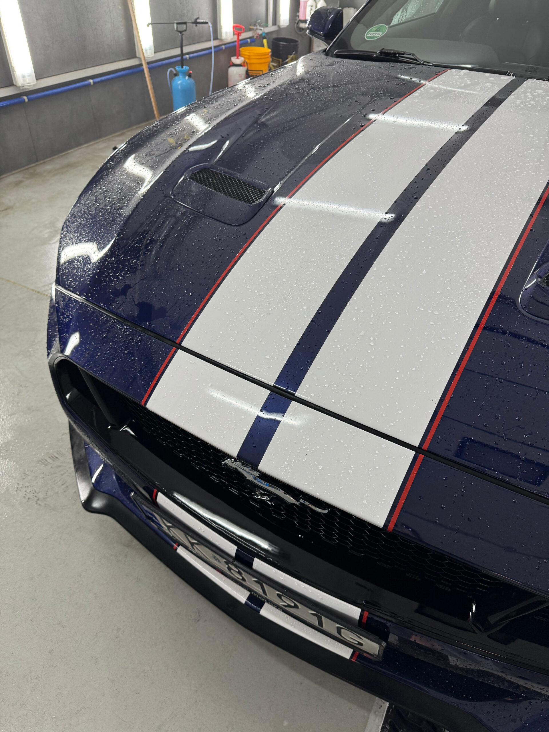 mustang-maska-anycar